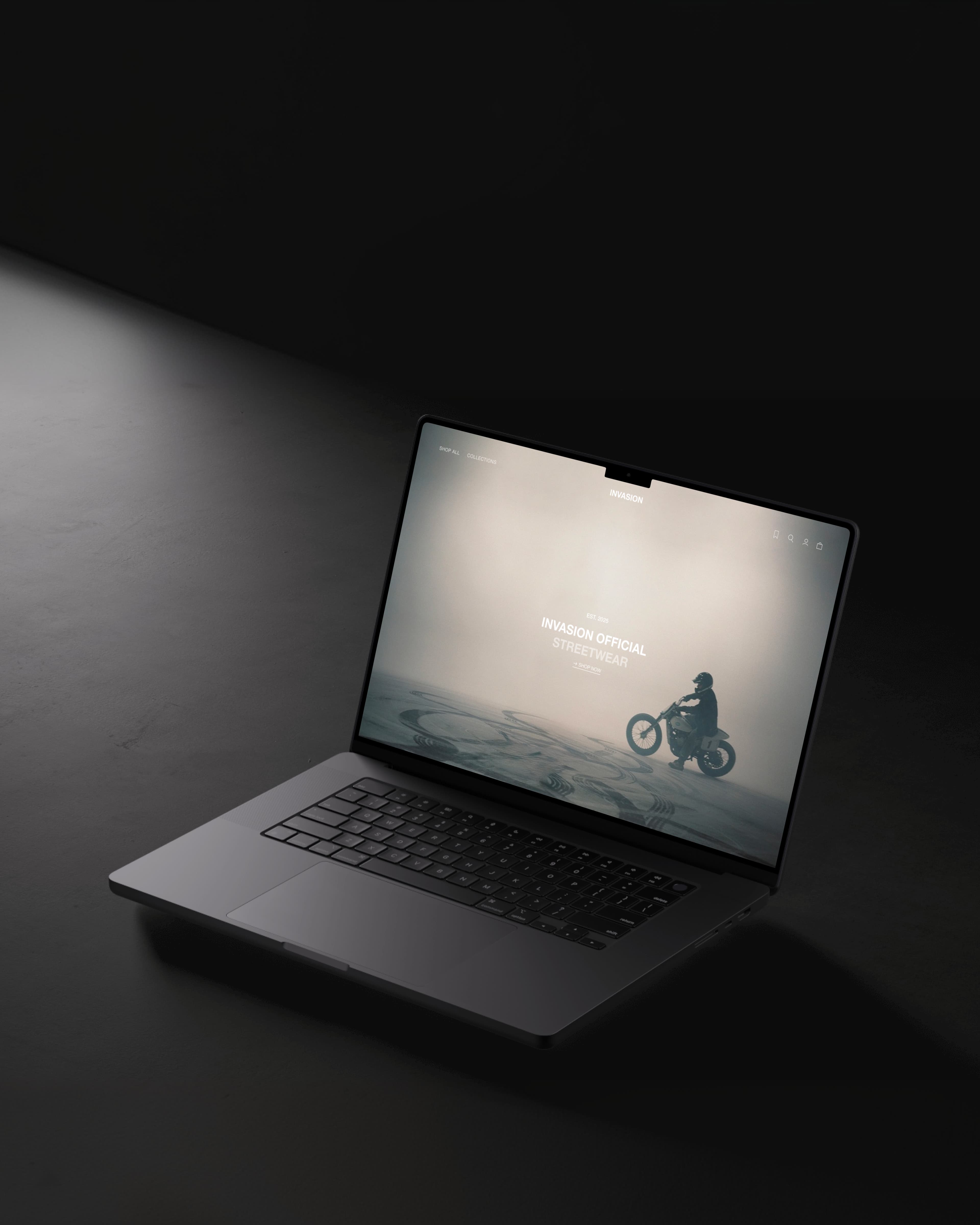 Invasion portfolio preview